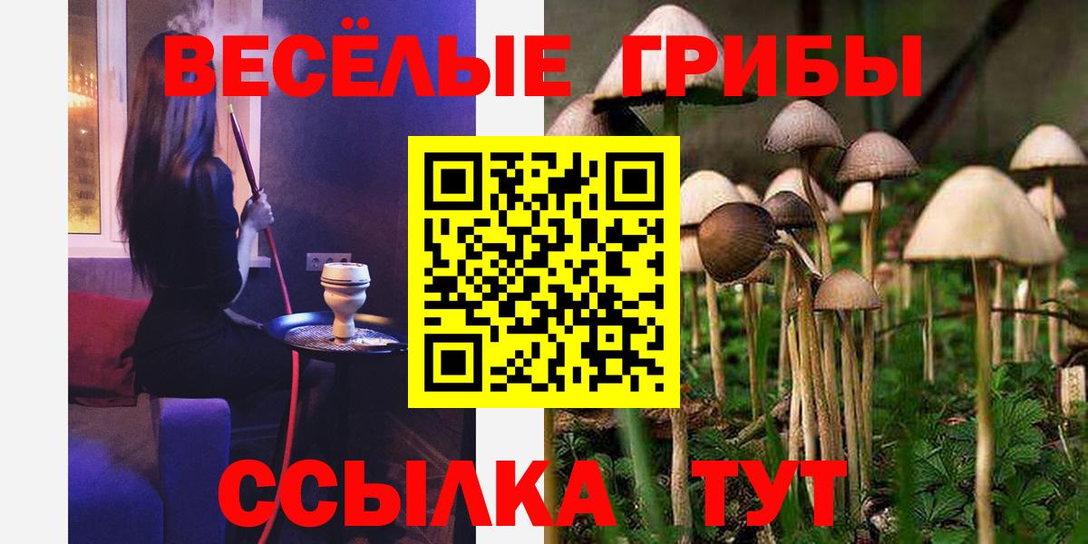 Галлюциногенные грибы Psilocybe Рославль