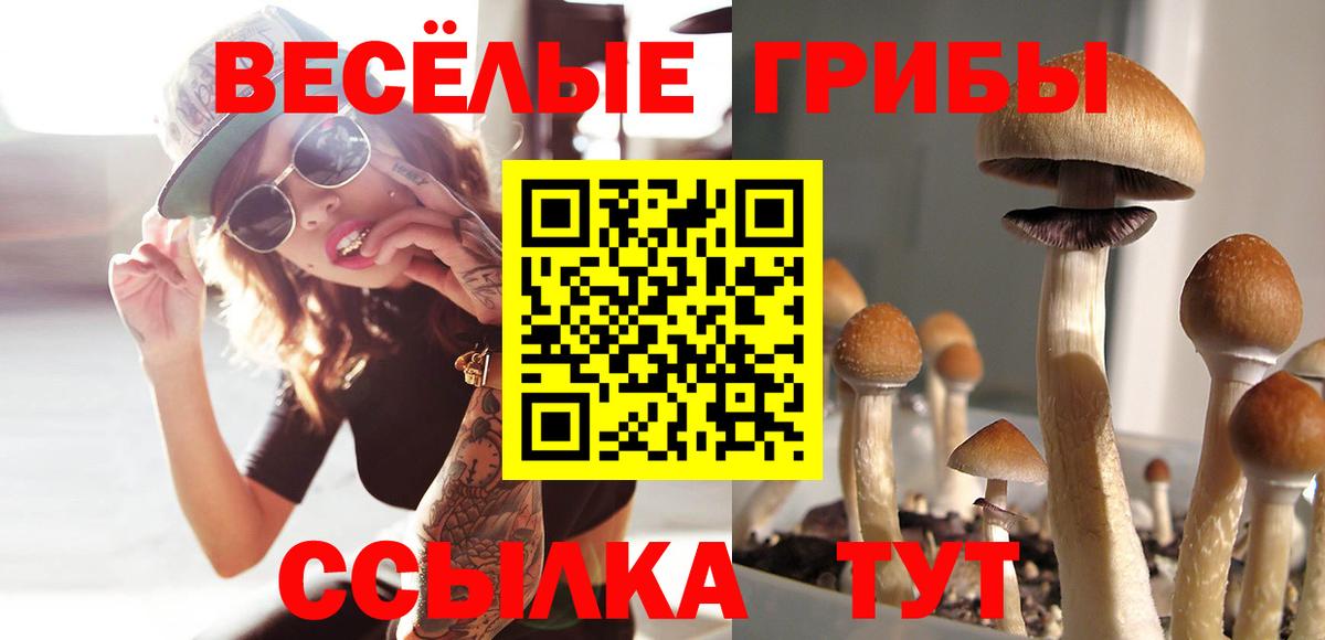 Рославль  Галлюциногенные грибы Psilocybine cubensis  Вход с VPN  Псилоцибиновые грибы Psilocybe 